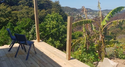 Wild Days Accommodation