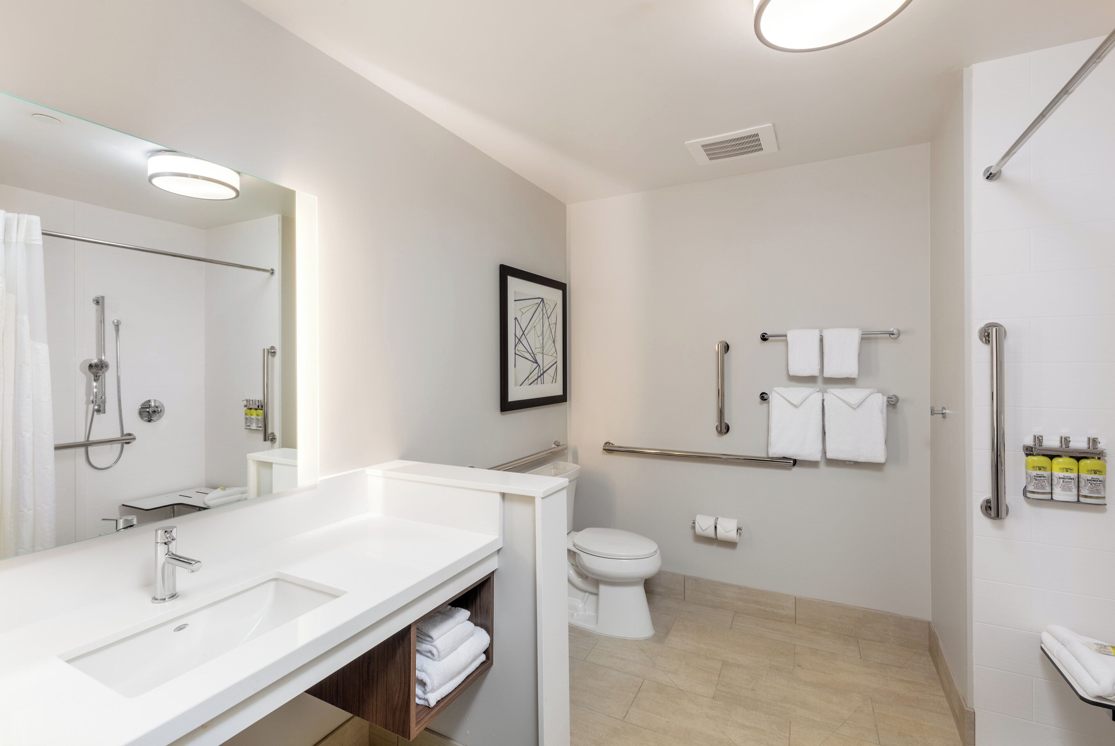 Un baño moderno con tocador doble lavabo, inodoro, ducha con barras de apoyo y una obra de arte enmarcada en la pared.
