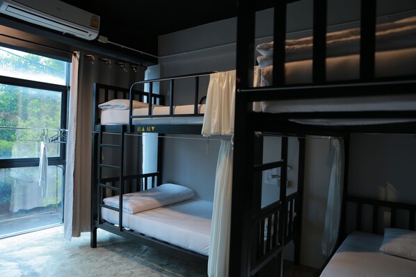4-Bed Female Dormitory | Laptop workspace, free WiFi