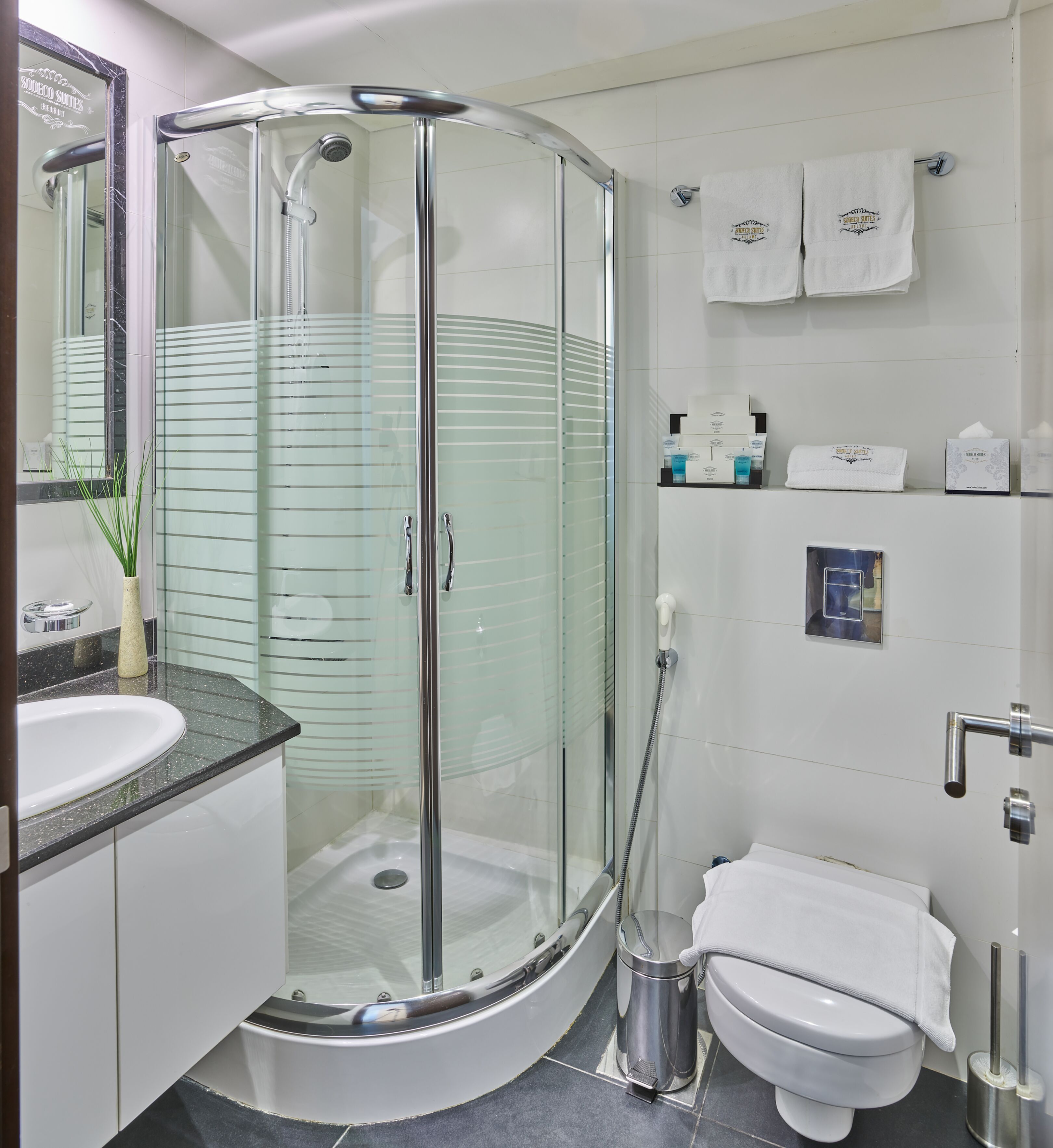 Un baño moderno con ducha envuelta en vidrio, inodoro y lavabo.