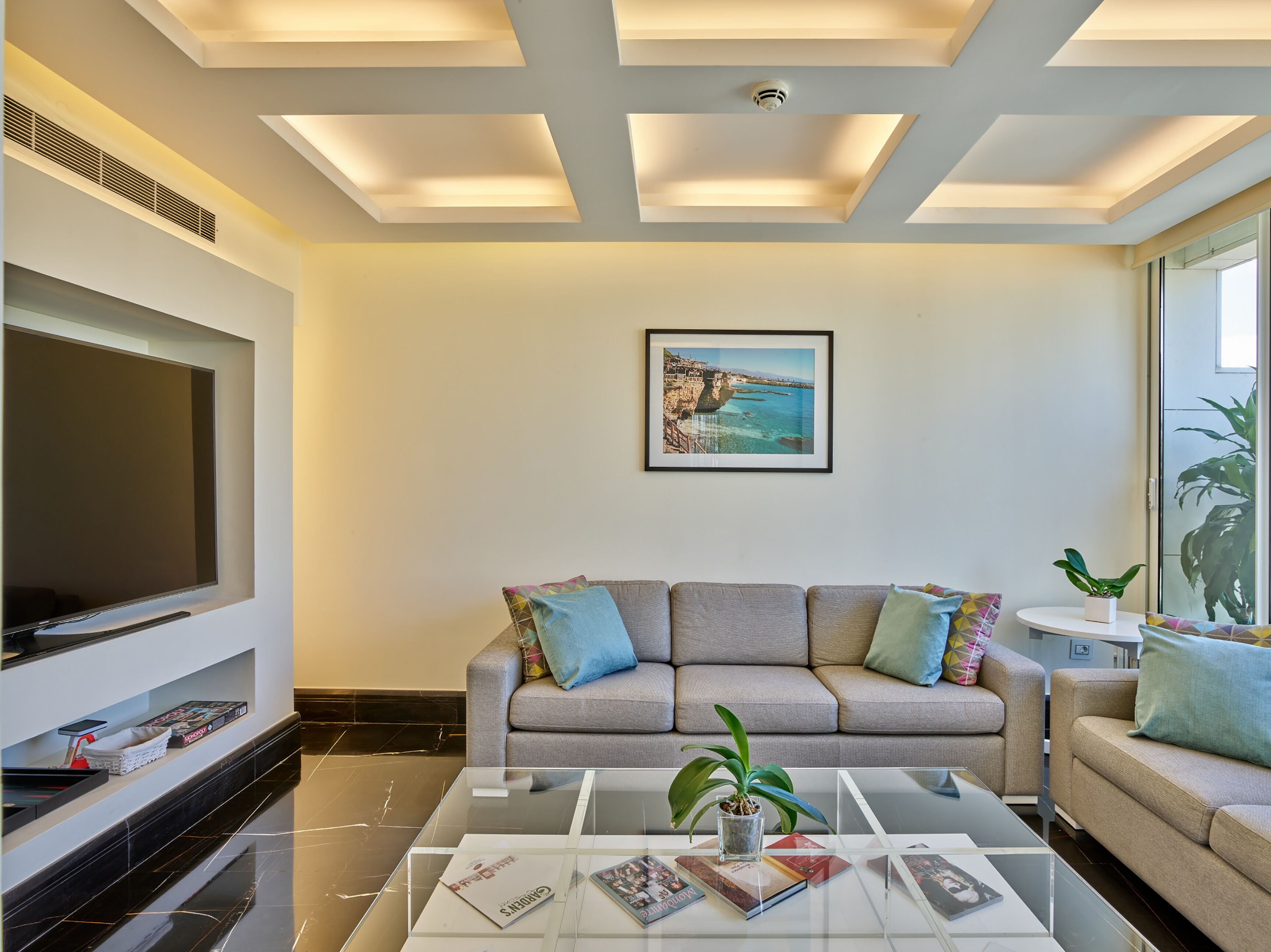 A modern living room with a flat-screen TV, a sofa with colorful cushions, a coffee table with magazines and a plant, and a framed picture on the wall.