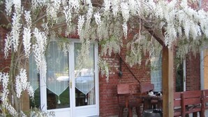 A patio area with a brick wall, a wooden bench, a table, and a cat sitting on the bench. - La Chaiserie (Romeries)