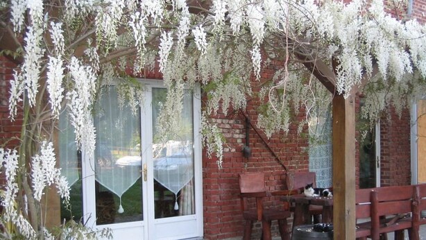 A patio area with a brick wall, a wooden bench, a table, and a cat sitting on the bench. - La Chaiserie (Romeries)