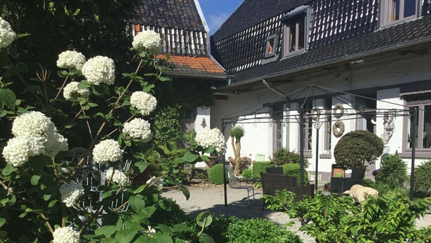 A garden with white hydrangea bushes, a wooden bench, and a house with a tiled roof and a small window. - La Ferme Des Buis (Sainghin-en-Weppes)