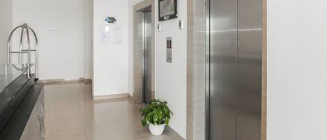 Un área de ascensor moderna con una planta en maceta, una pantalla en la pared y una puerta de ascensor metálica.