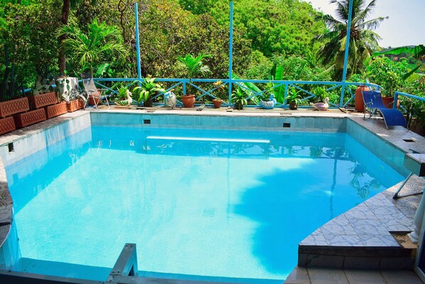 Outdoor pool, open 8:00 AM to 6:00 PM, pool loungers