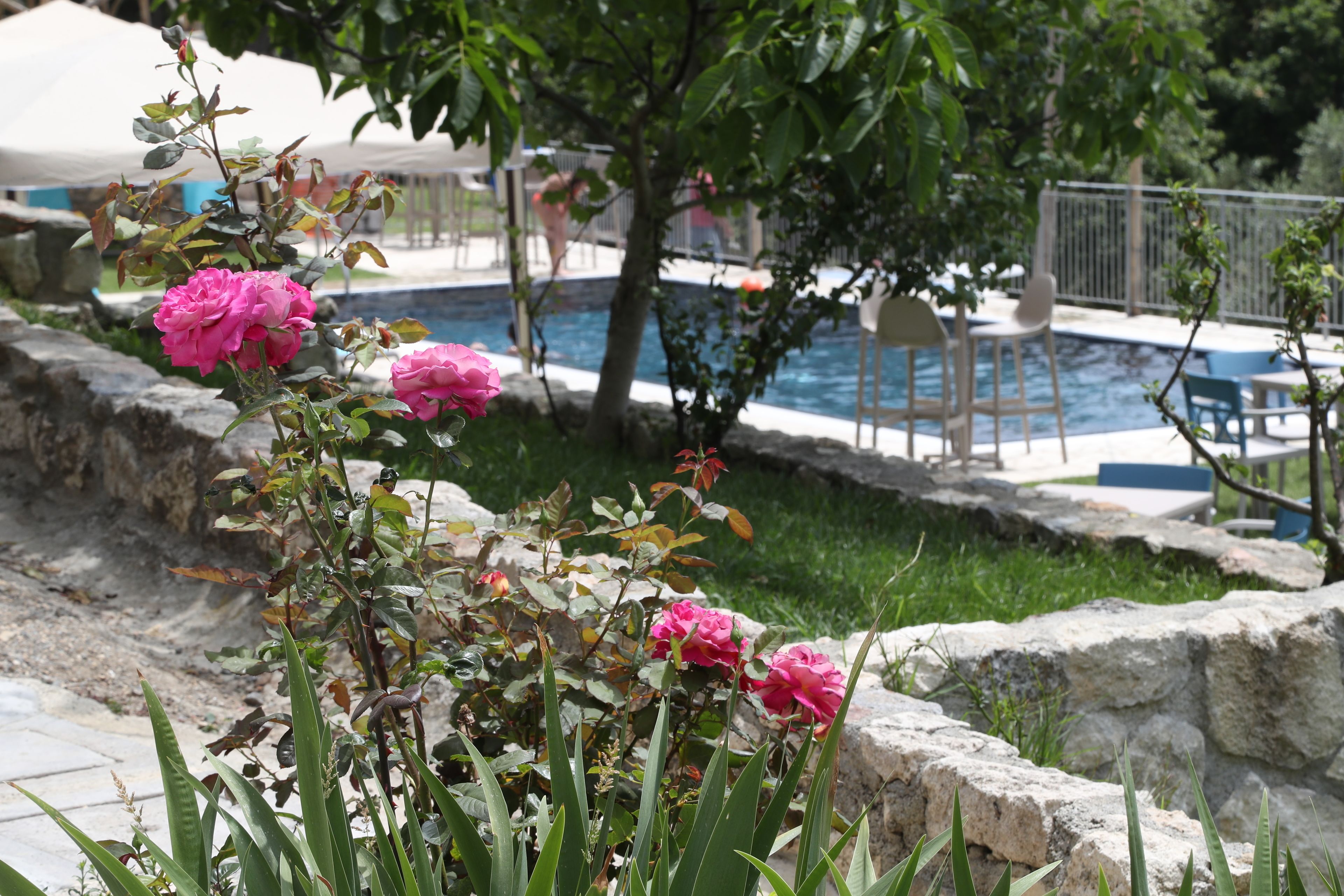 A pool area with a stone wall, a tree, and pink flowers in the foreground.