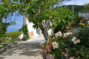 Jardín