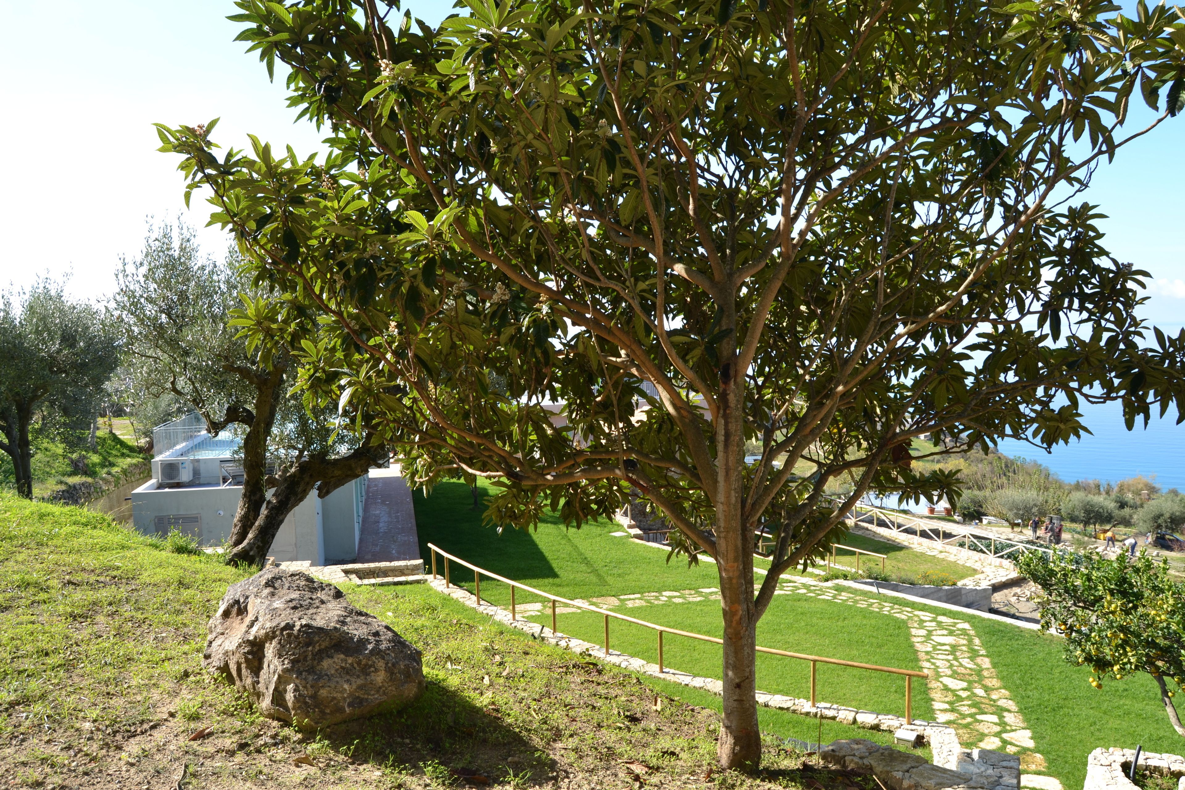 A landscaped area with a tree, stone pathway, and a building with a white fence.