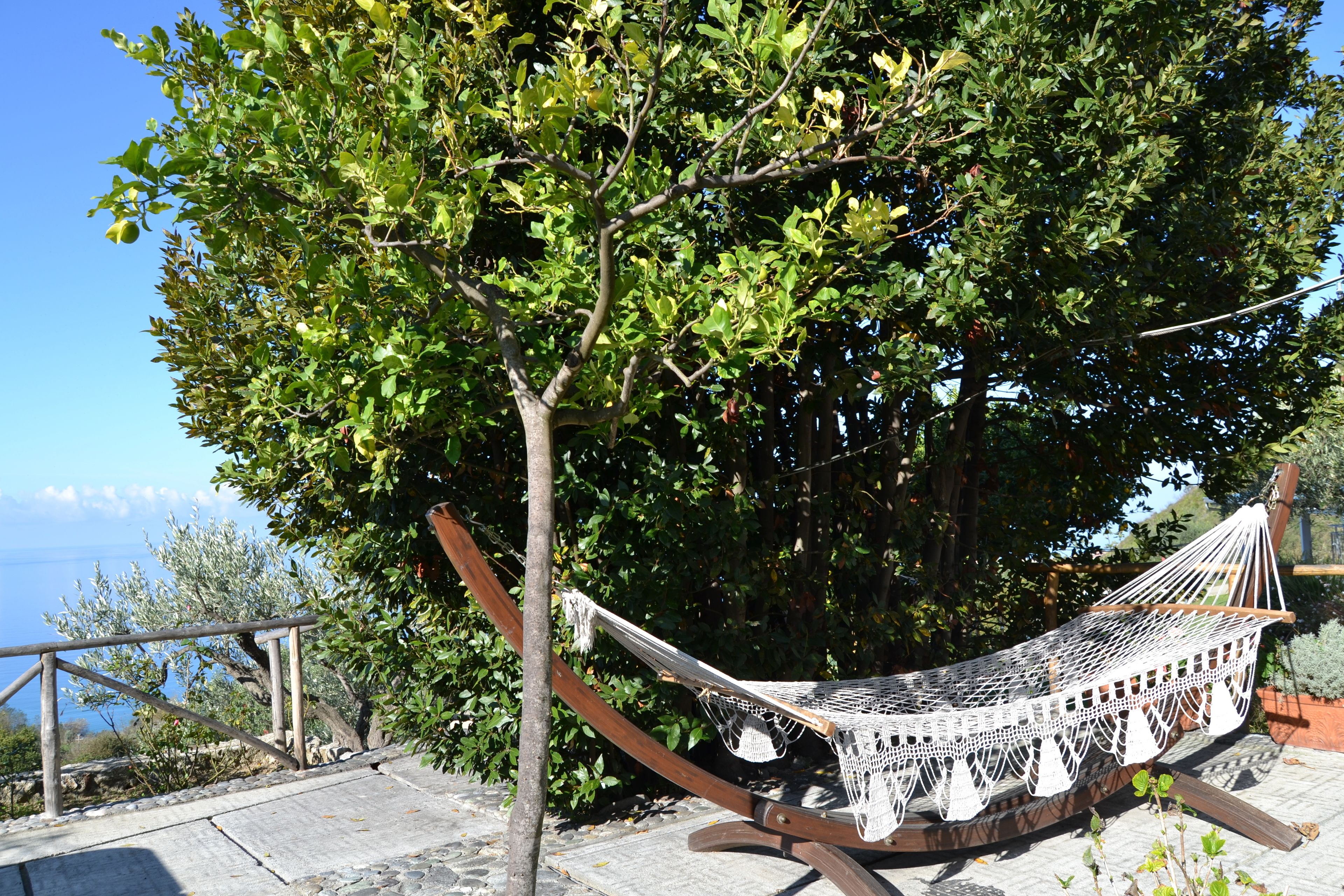 Teras/patio