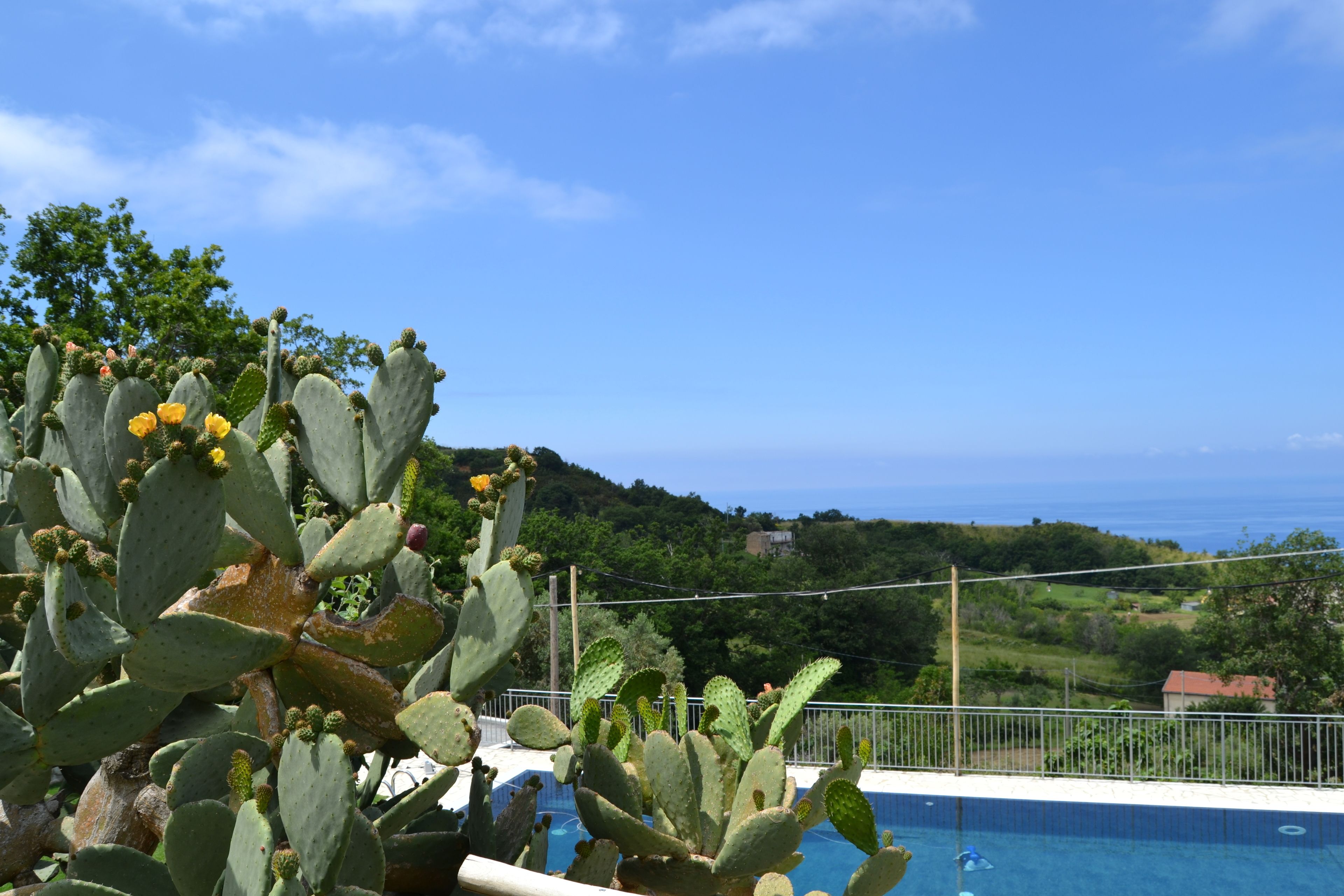 Seasonal outdoor pool, open 9:00 AM to 7:00 PM, sun loungers