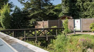 A wooden bridge over a body of water, leading to a cabin with a metal door and a small shed nearby.