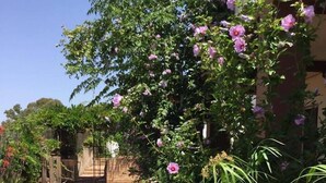 Un sentier de jardin menant à l’entrée d’un bâtiment, bordé d’une végétation luxuriante et de plantes en fleurs.