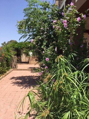 Exterior - Villa delle Rondini (Vibo Valentia)