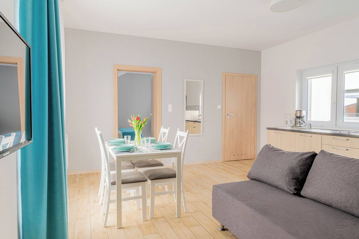 Appartement, 1 queensize bed met slaapbank, niet-roken | Verduisterende gordijnen, een strijkplank/strijkijzer, gratis wifi