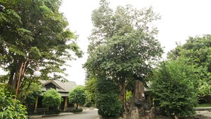 A serene street lined with trees and a traditional building with a tiled roof. - Grand Ciwareng Inn (Purwakarta)