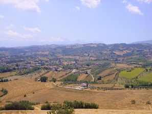 Paisaje rural con colinas ondulantes, casas dispersas y campos de cultivo.