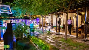 An outdoor dining area with stone pathways, greenery, and ambient lighting. - Villa De l'Intégration (Ouagadougou)