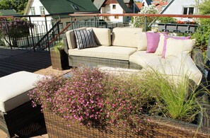 Terras