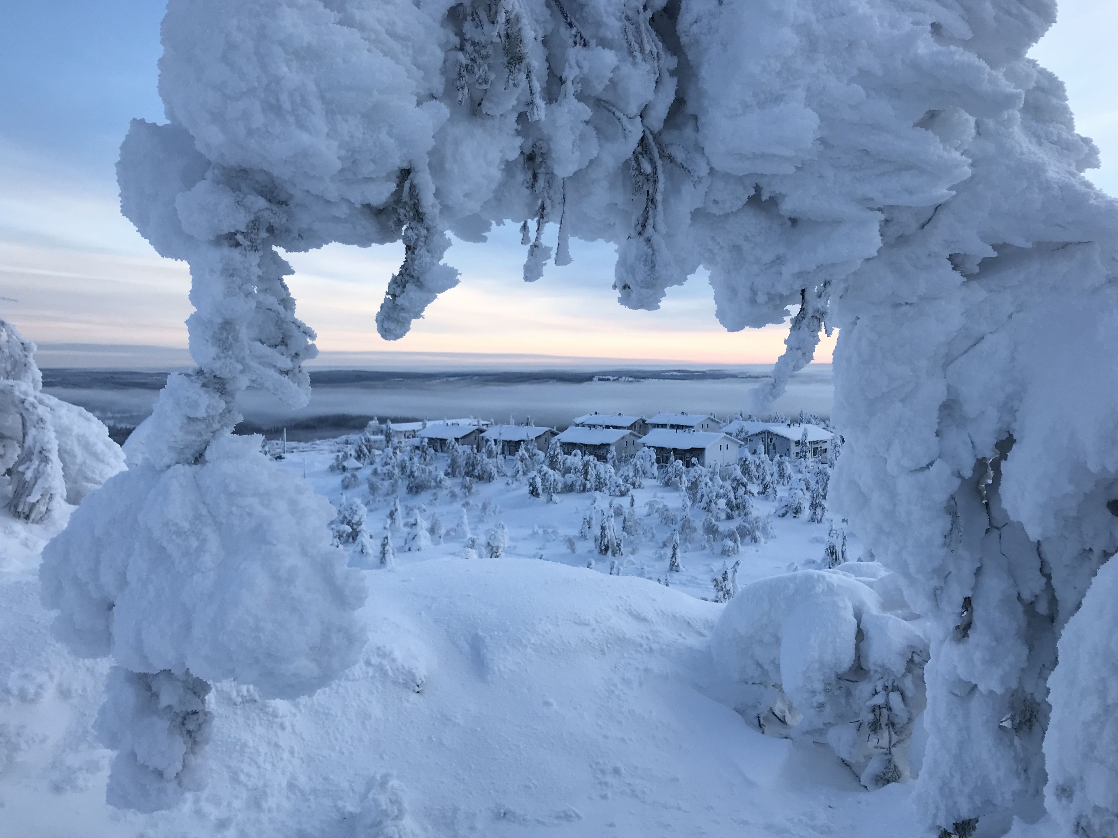 A snow-covered landscape with buildings and trees.
