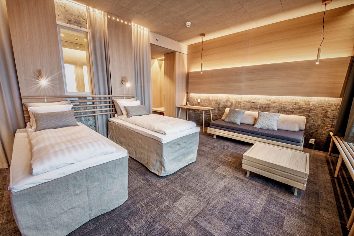 Habitación superior con 2 camas individuales (No pets allowed) | Minibar, wifi gratis y ropa de cama 