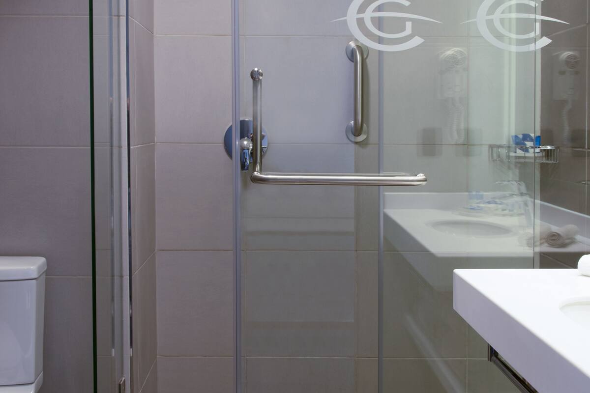 shower, free toiletries, hair dryer, towels
