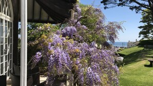 Un edificio con un porche cubierto y una enredadera de glicinia en flor.