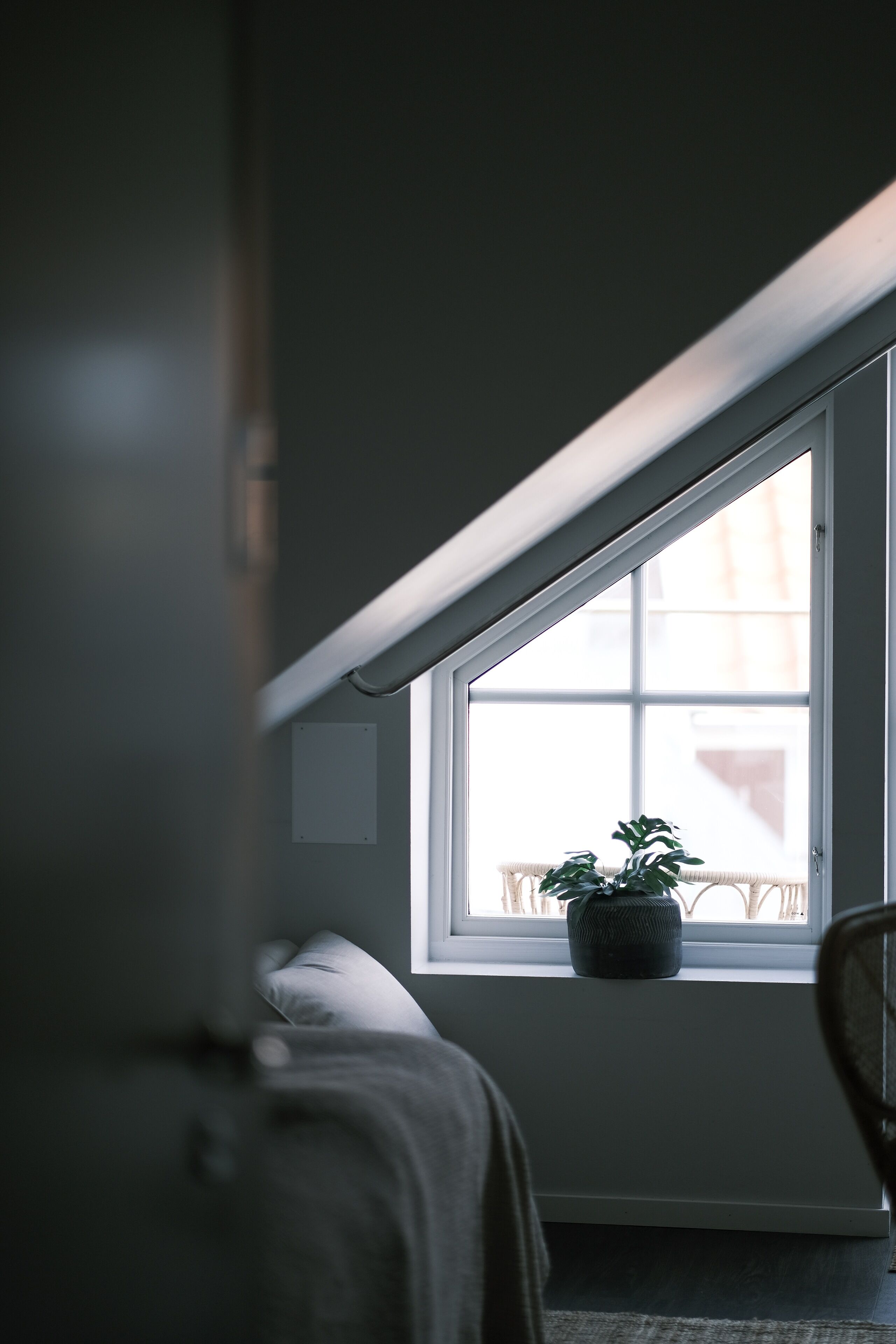 Una habitación con ventana, una planta en maceta y una silla.