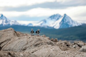 Hiking - Patagonia Home Center (Ushuaia)