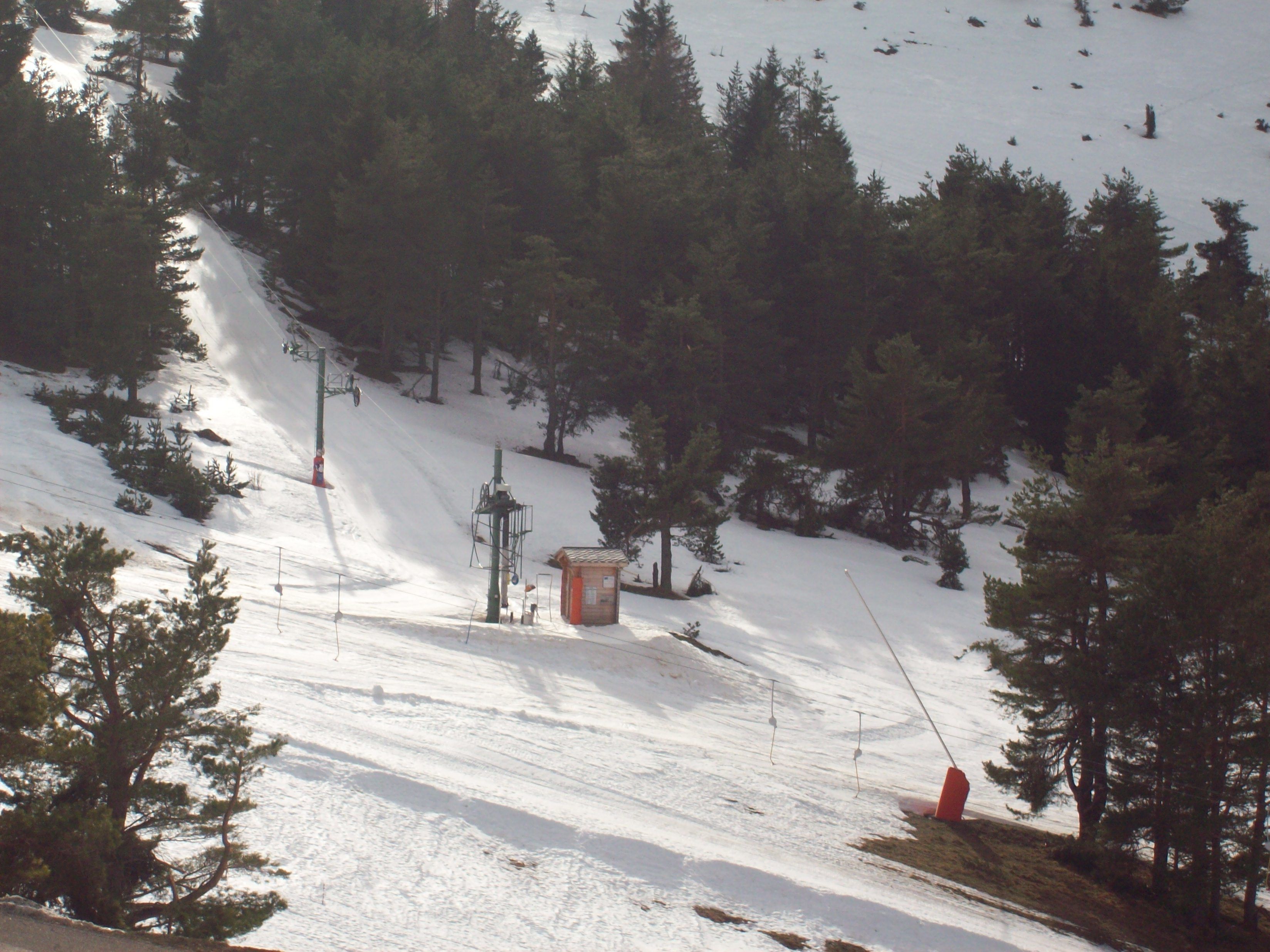 A ski slope with trees, a small building, and ski lift equipment.