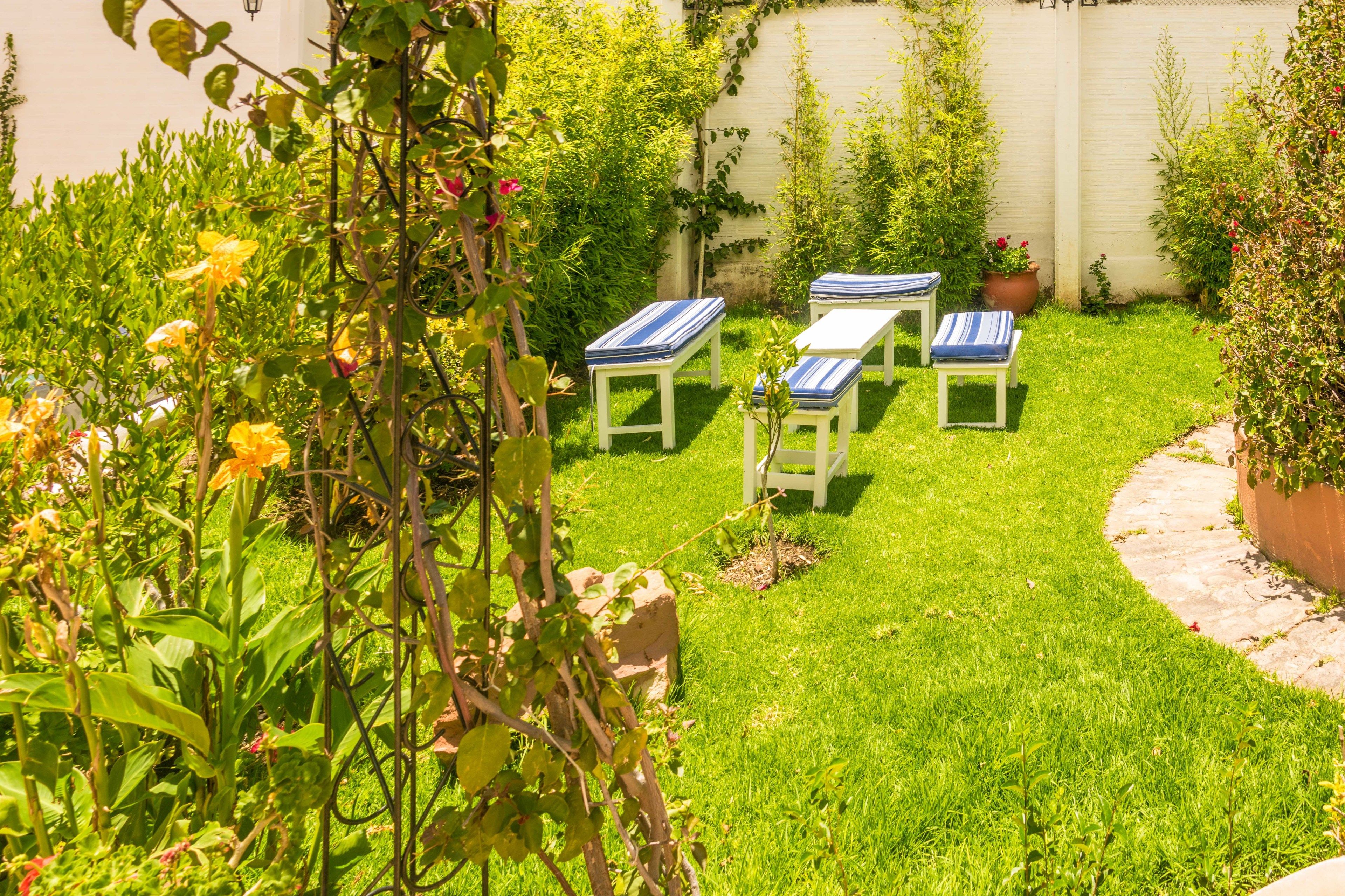 A garden with a pathway, two white chairs with blue cushions, and various plants and flowers.