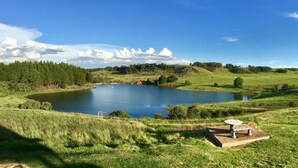 Un cadre paisible au bord du lac, avec une table de pique-nique et un banc, entouré d’une végétation luxuriante et sous un ciel bleu dégagé.