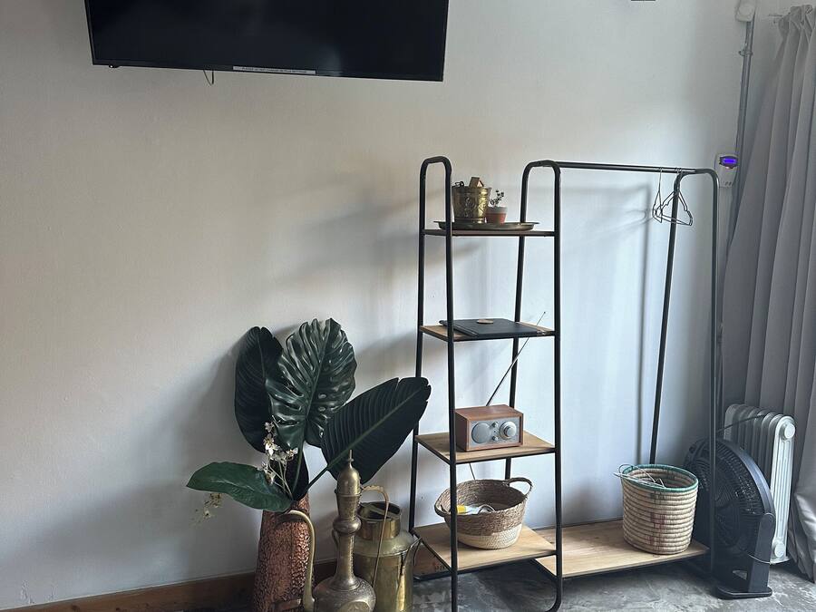 Una sala de estar con una televisión de pantalla plana montada en la pared, un mueble de metal con objetos decorativos, una planta grande y una alfombra tejida en el suelo.