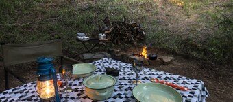 Stargazer Camp - Bellevue Forest Reserve