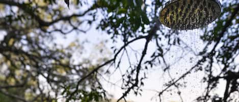 Barraca lua de mel, 1 quarto | Banheiro | Produtos de toalete grátis, roupões de banho, toalhas de banho