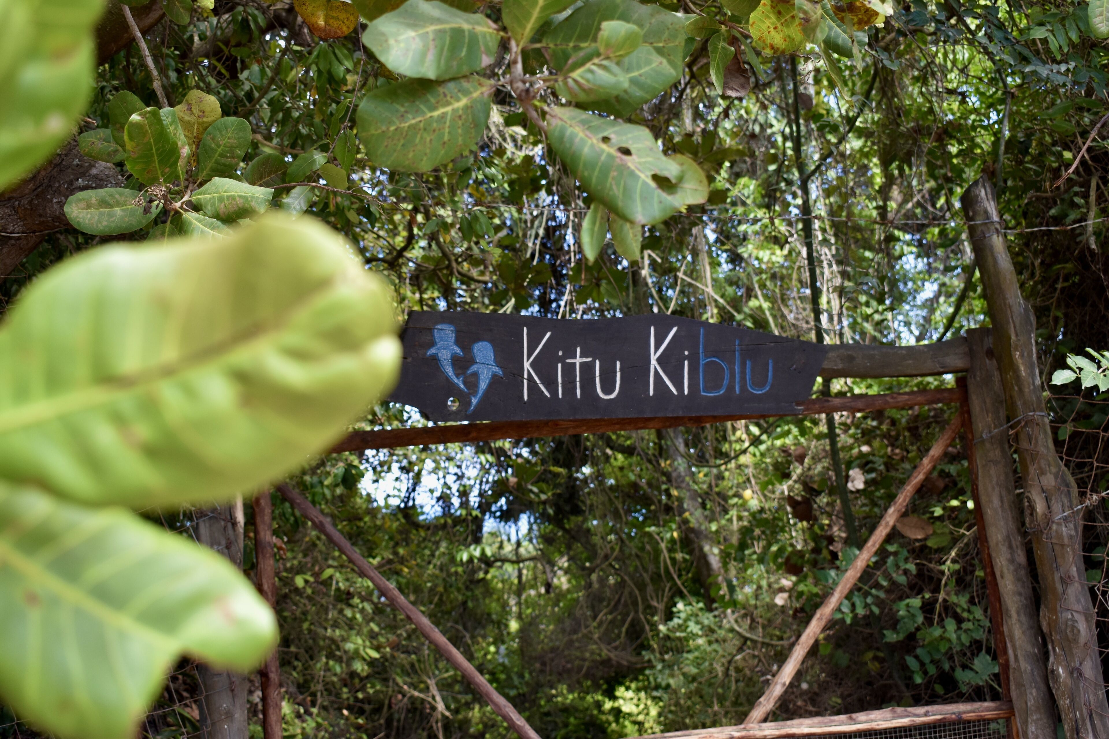 Uma placa de madeira com o texto 'Kitu Kibibu' em uma área arborizada.