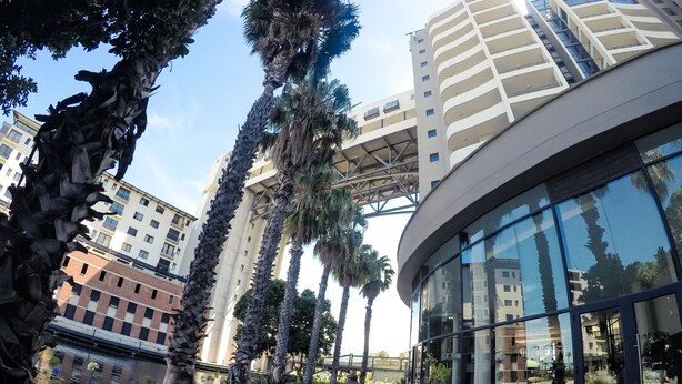 A modern building with a curved glass facade, surrounded by palm trees and a paved walkway. - Lavira (Cape Town)