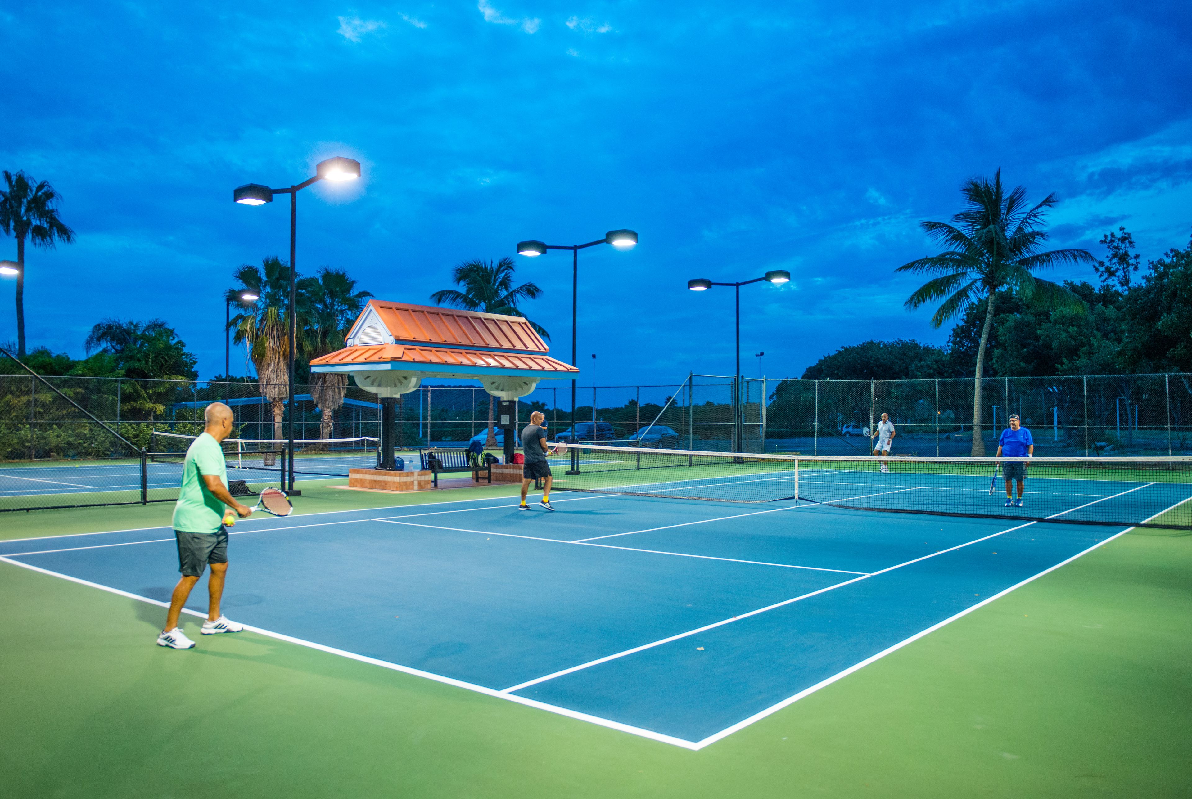 Una cancha de tenis con red, palmeras y un pequeño pabellón.