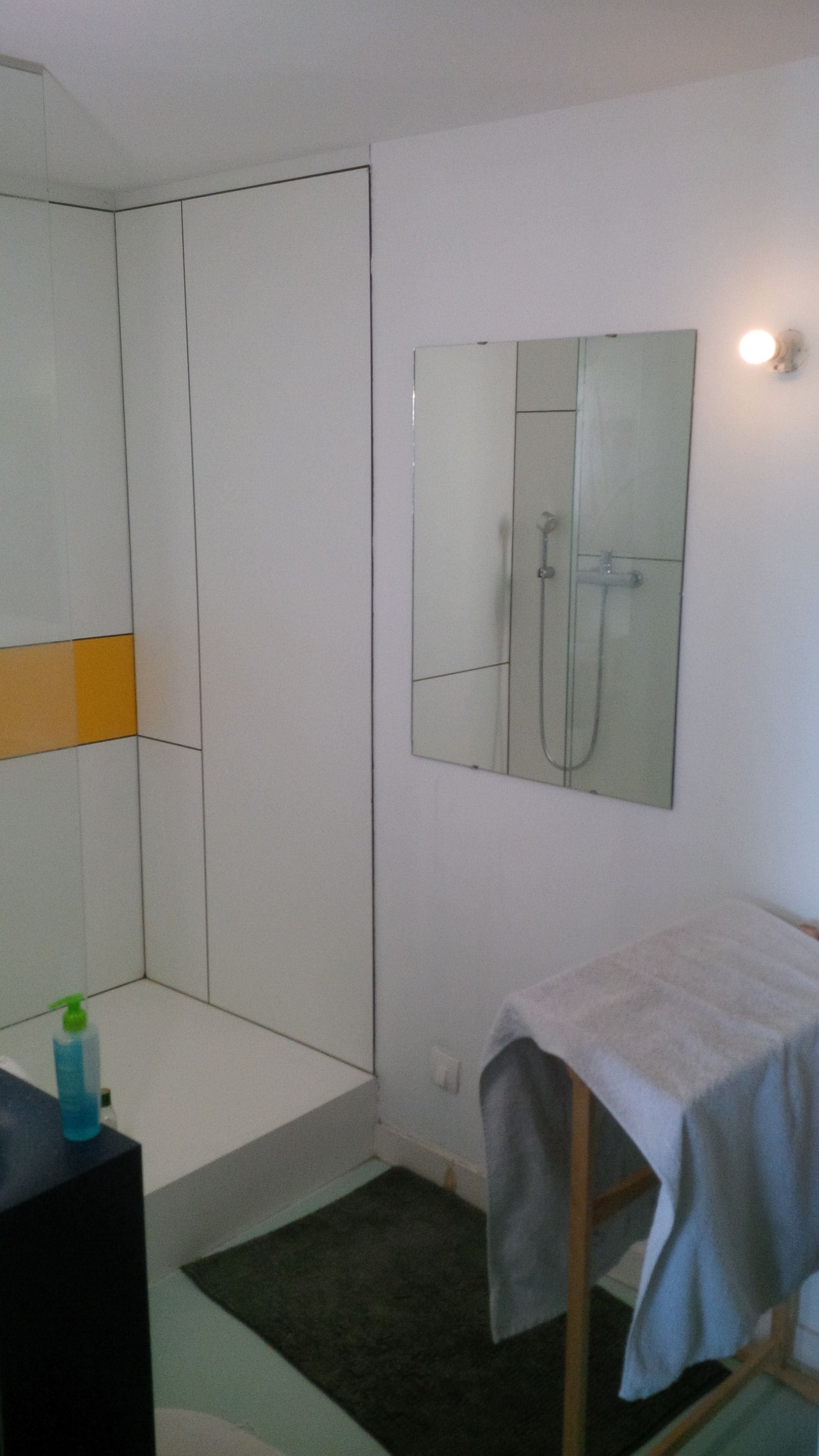 Une salle de bain avec une douche, un lavabo et un miroir.