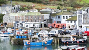 A harbor with boats, a small dock, and buildings with shops and signs.