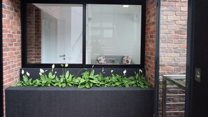 A window with a black frame, a brick wall, and a planter with green plants. - The Luxus Flat Miraflores (Lima)