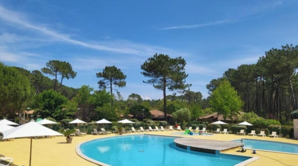 A swimming pool with lounge chairs and umbrellas, surrounded by trees.