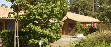 A rustic wooden house with a tiled roof, surrounded by lush greenery and trees.