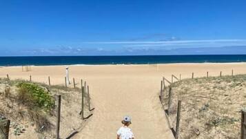 Een zandpad dat naar een strand leidt, onder een helderblauwe lucht.
