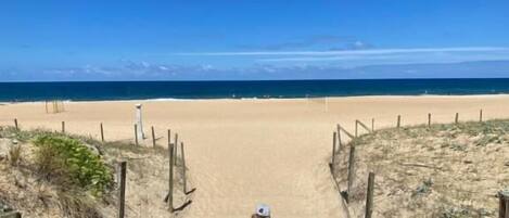 A sandy pathway leading to a beach with a clear blue sky.