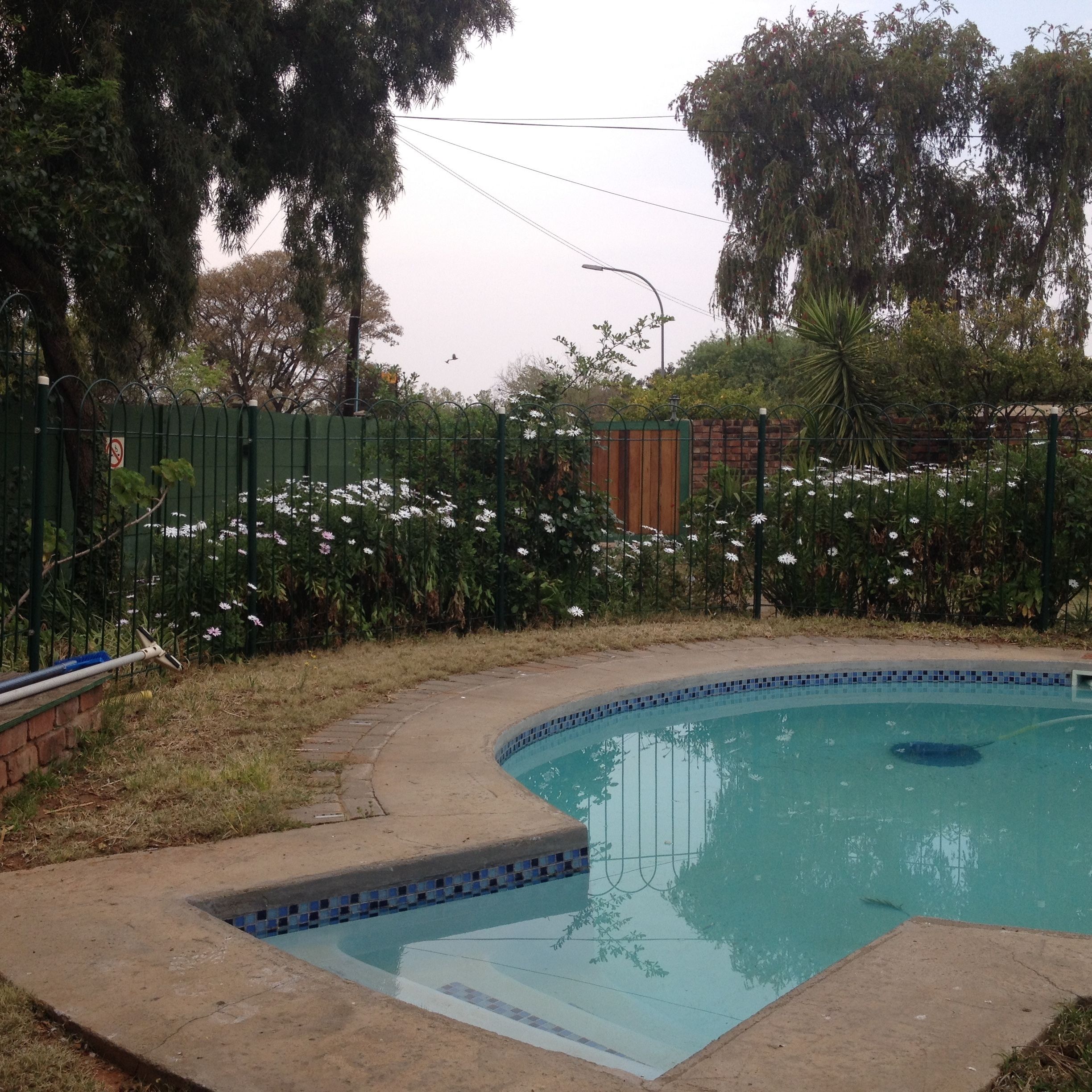 Una piscina con borde de azulejos, rodeada por un muro de ladrillo y una valla de metal.