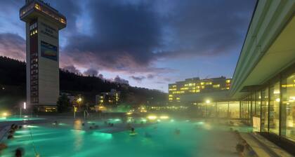 Dorint Parkhotel Bad Zurzach