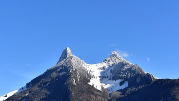 Eksteriør