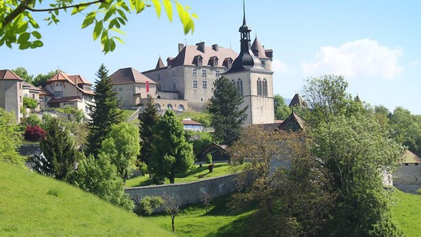 Eine Burg mit einem markanten Kirchturm, umgeben von üppiger Vegetation und Wohnhäusern.
