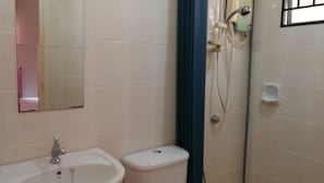 Shower, hair dryer, bidet, towels
